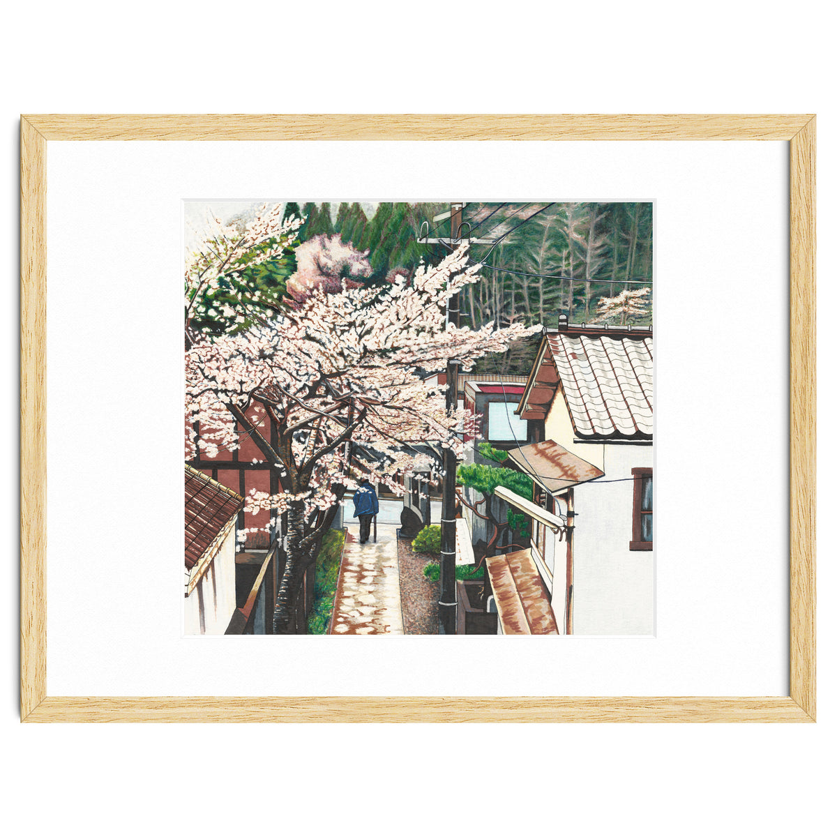 Passing by Cherry Blossoms