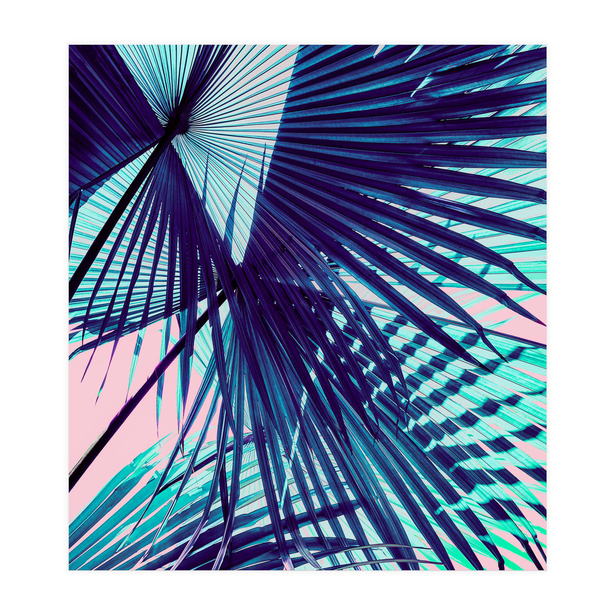 Palm leaf on the beach (Print Only)