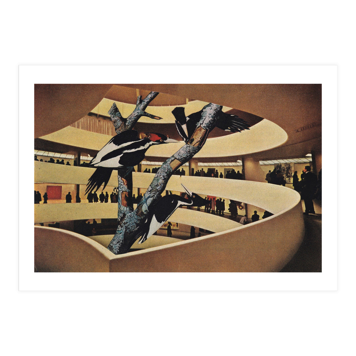 Art Museum (Print Only)