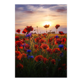 Poppiesfield at Sunrise (Print Only) thumbnail