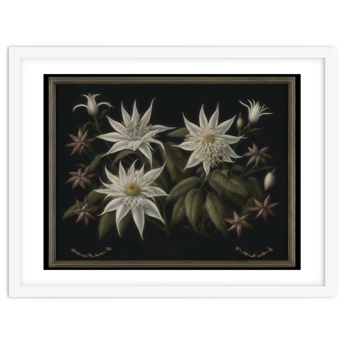 Edelweiss Vintage Illustration