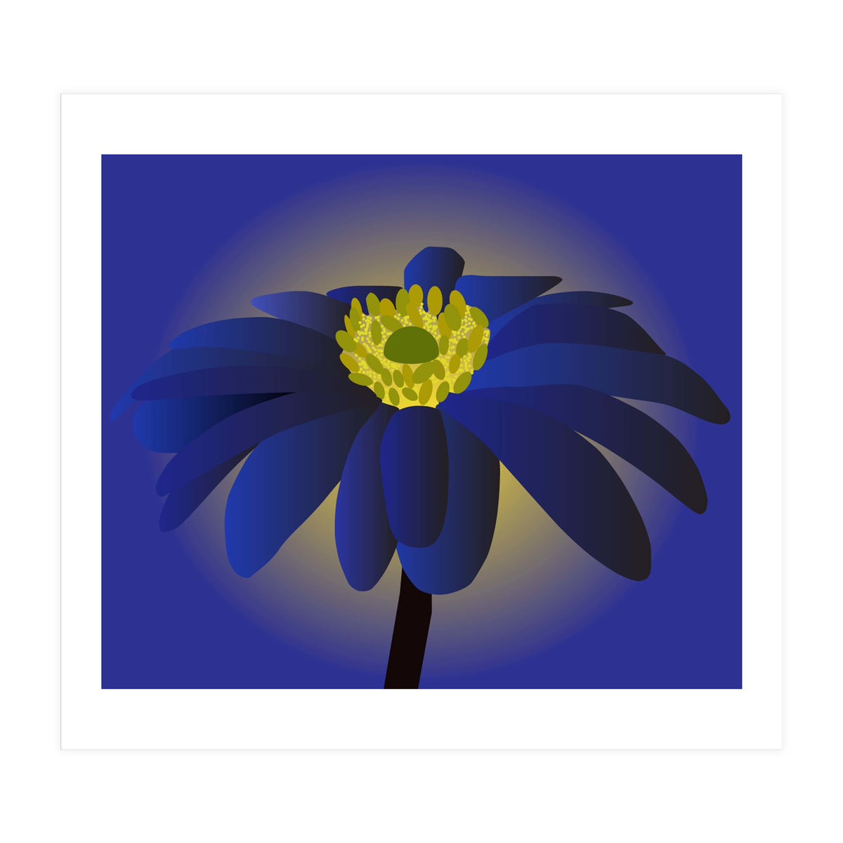 Anemone Blanda Flower Art (Print Only)