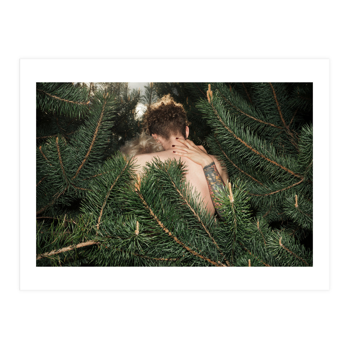 Born Free (Print Only)