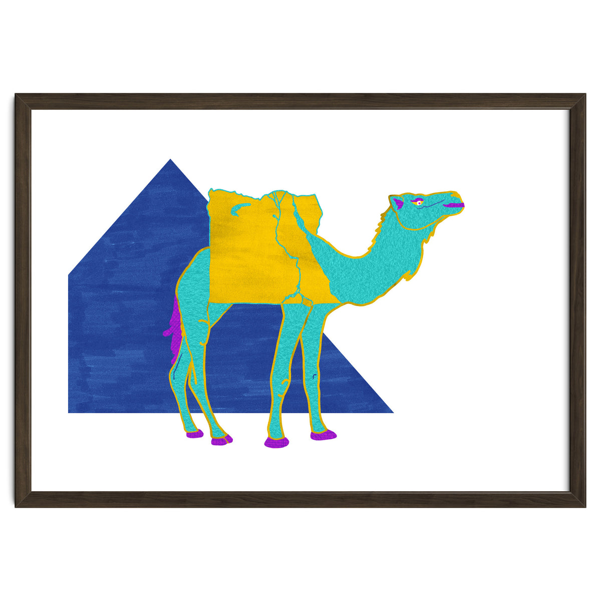 Egyptian Dromedary