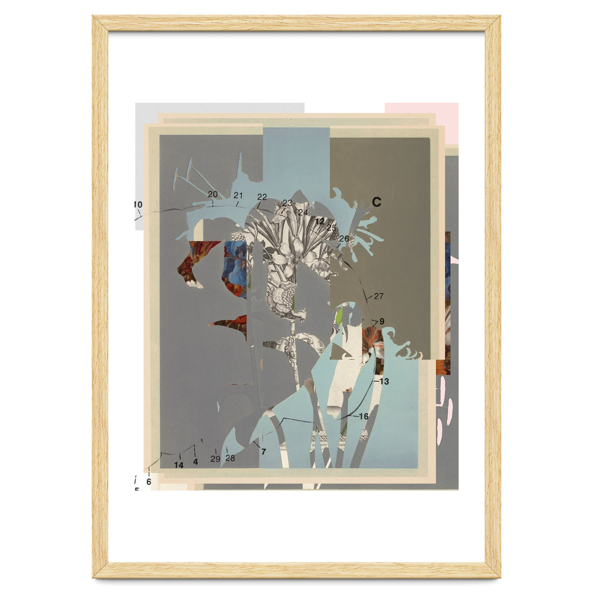 The First Plant · D