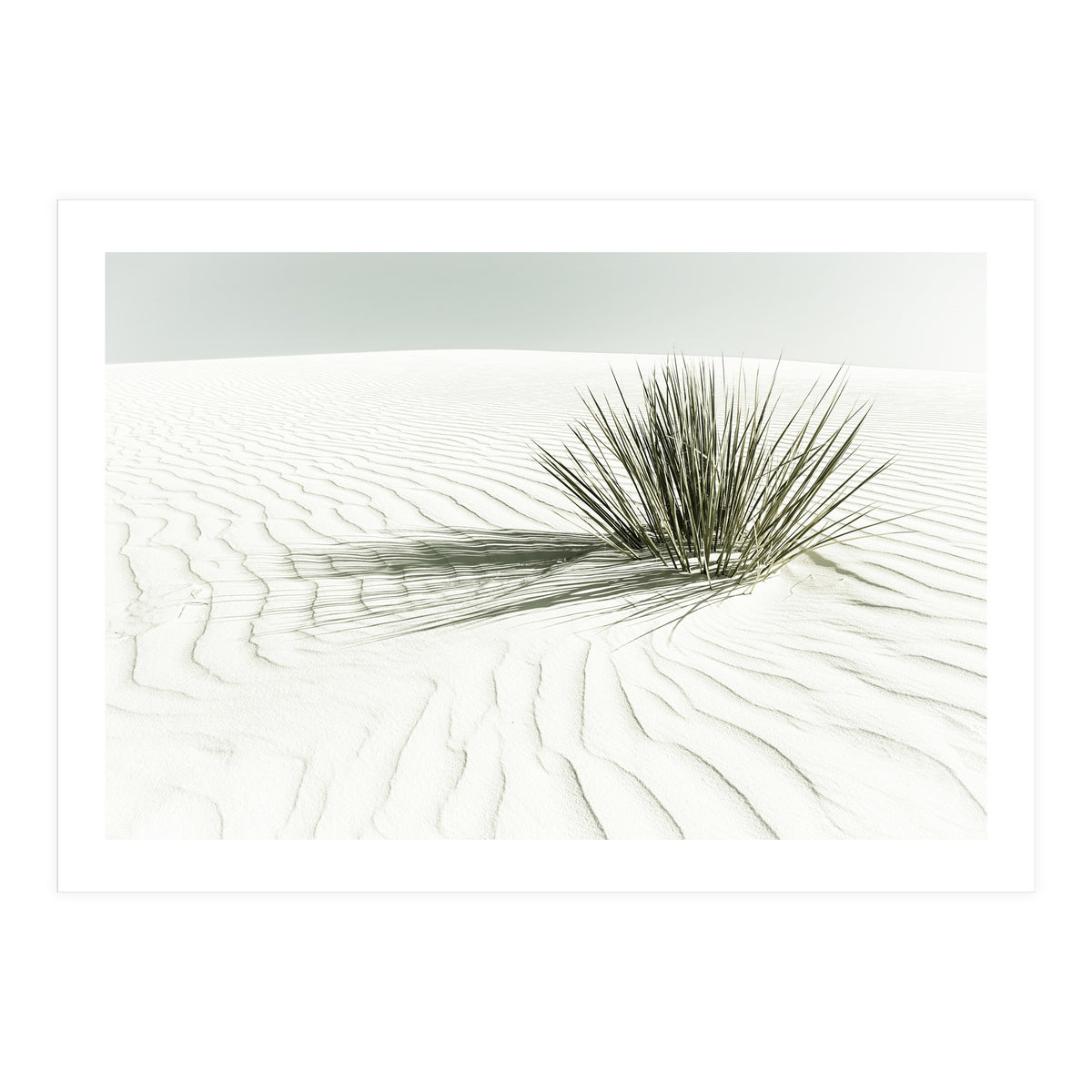 WHITE SANDS Idyllic scenery | Vintage (Print Only)