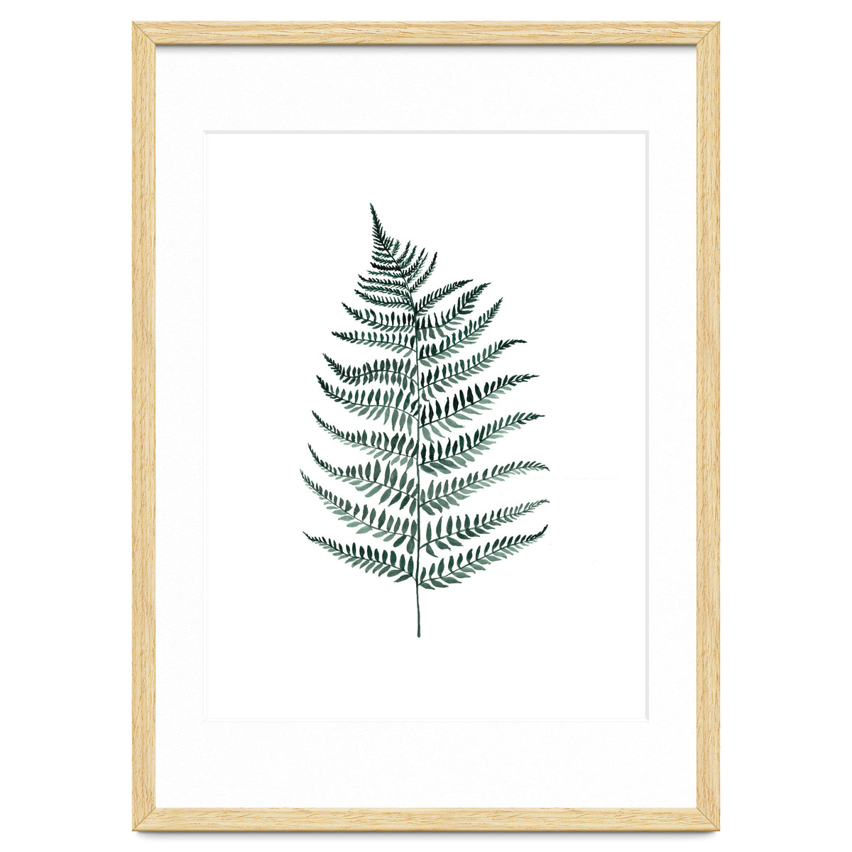Botanical Illustration Silverfern