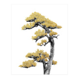 Bonsai Tree 04 (Print Only) thumbnail