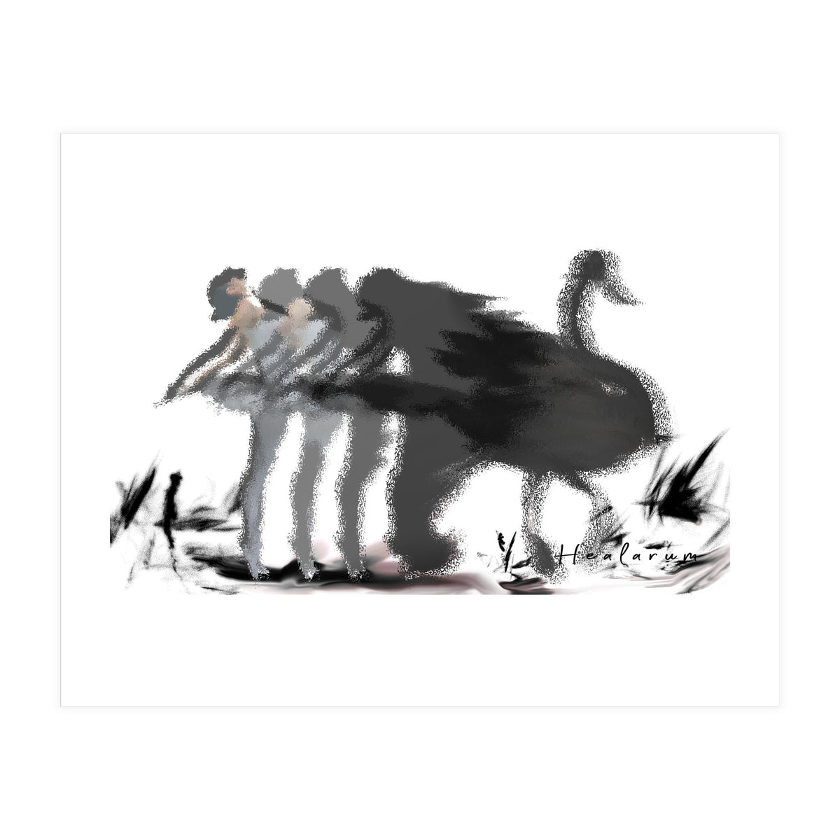 The Black Swan (Print Only)