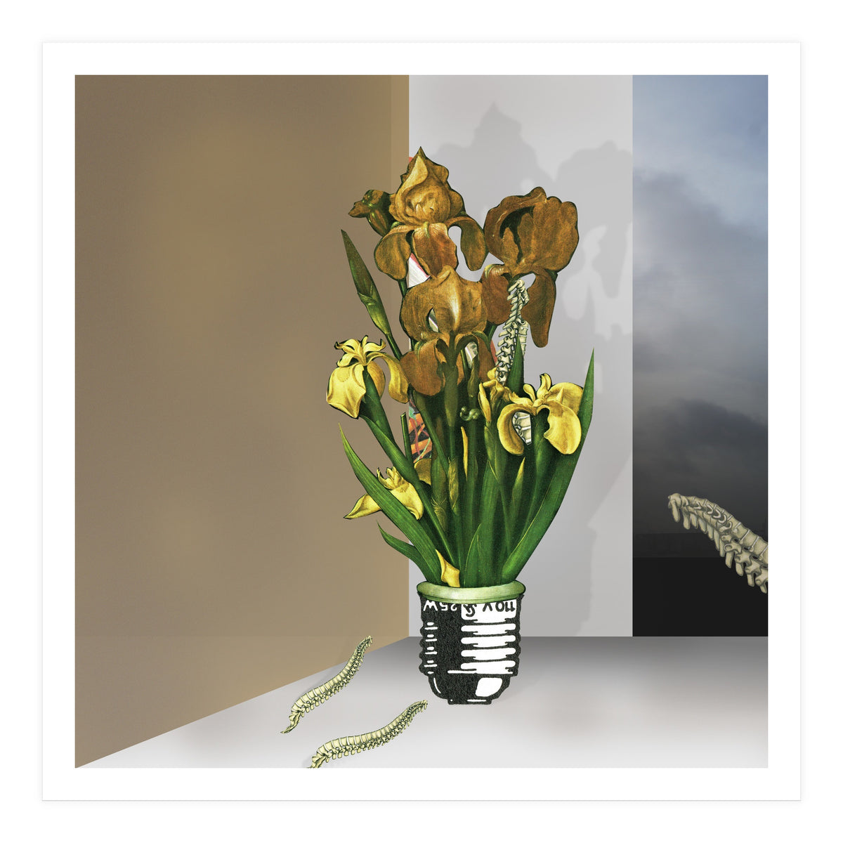 Das Licht Der Pflanze (Print Only)