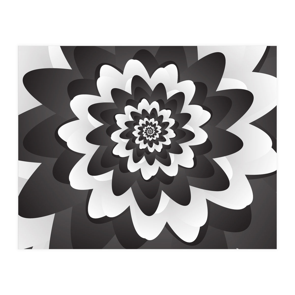Mono Chrome Flower Spiral Pattern (Print Only)
