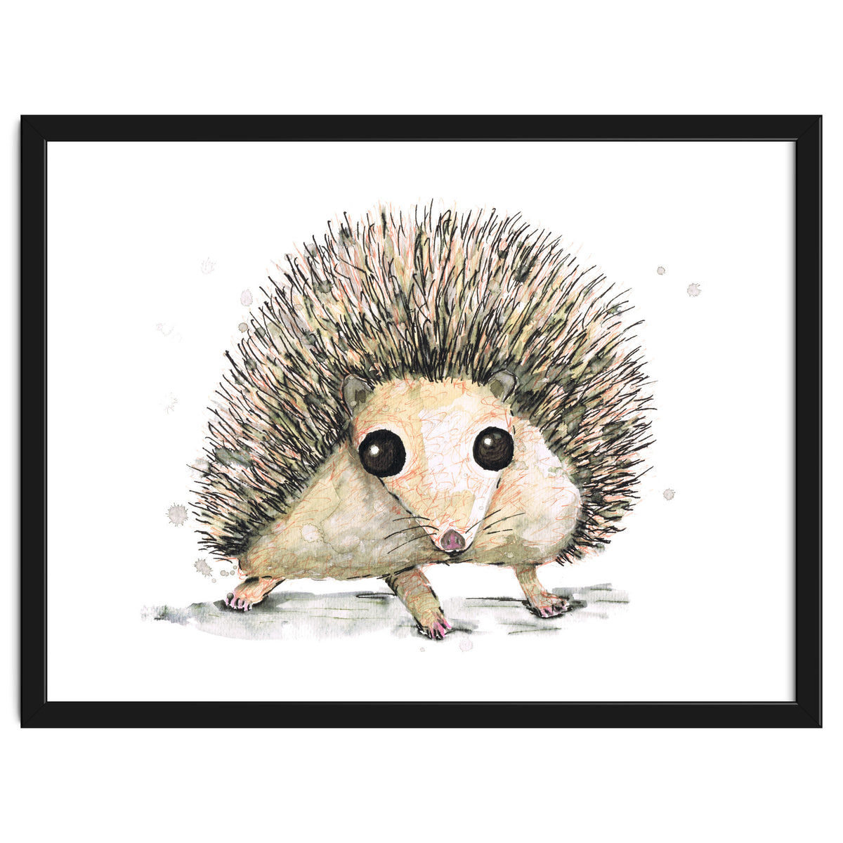 Hedgehog