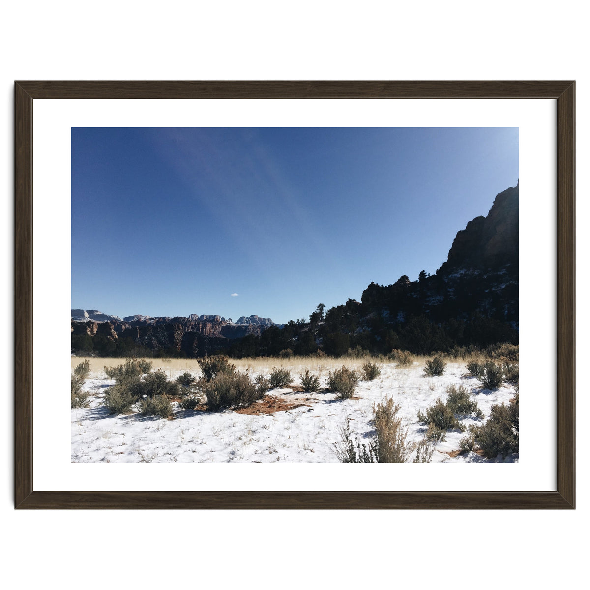 Zion National Park II