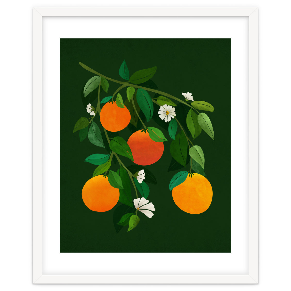 Oranges and Blossoms