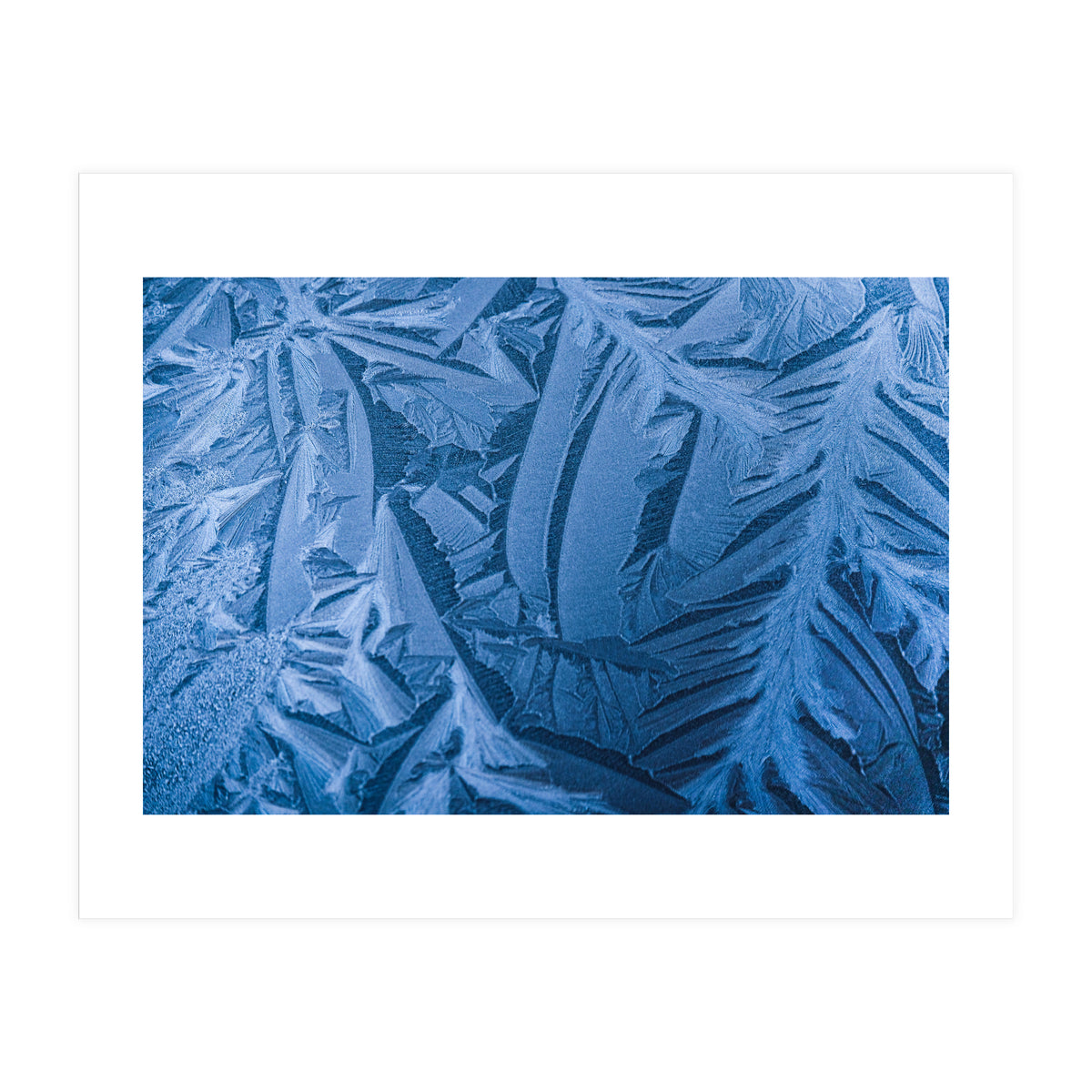 Ice Pattern Number 1 (Print Only)