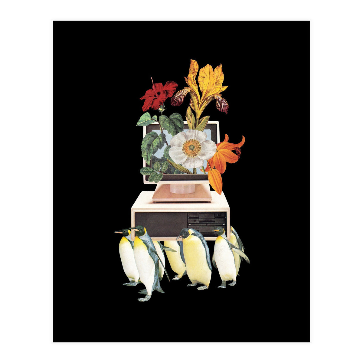 Penguin Os (Print Only)