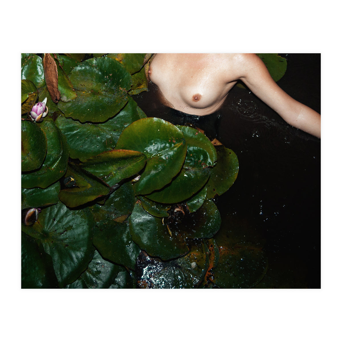 This is Not what You think It is (Print Only)