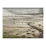 Wet meadows (Print Only) thumbnail
