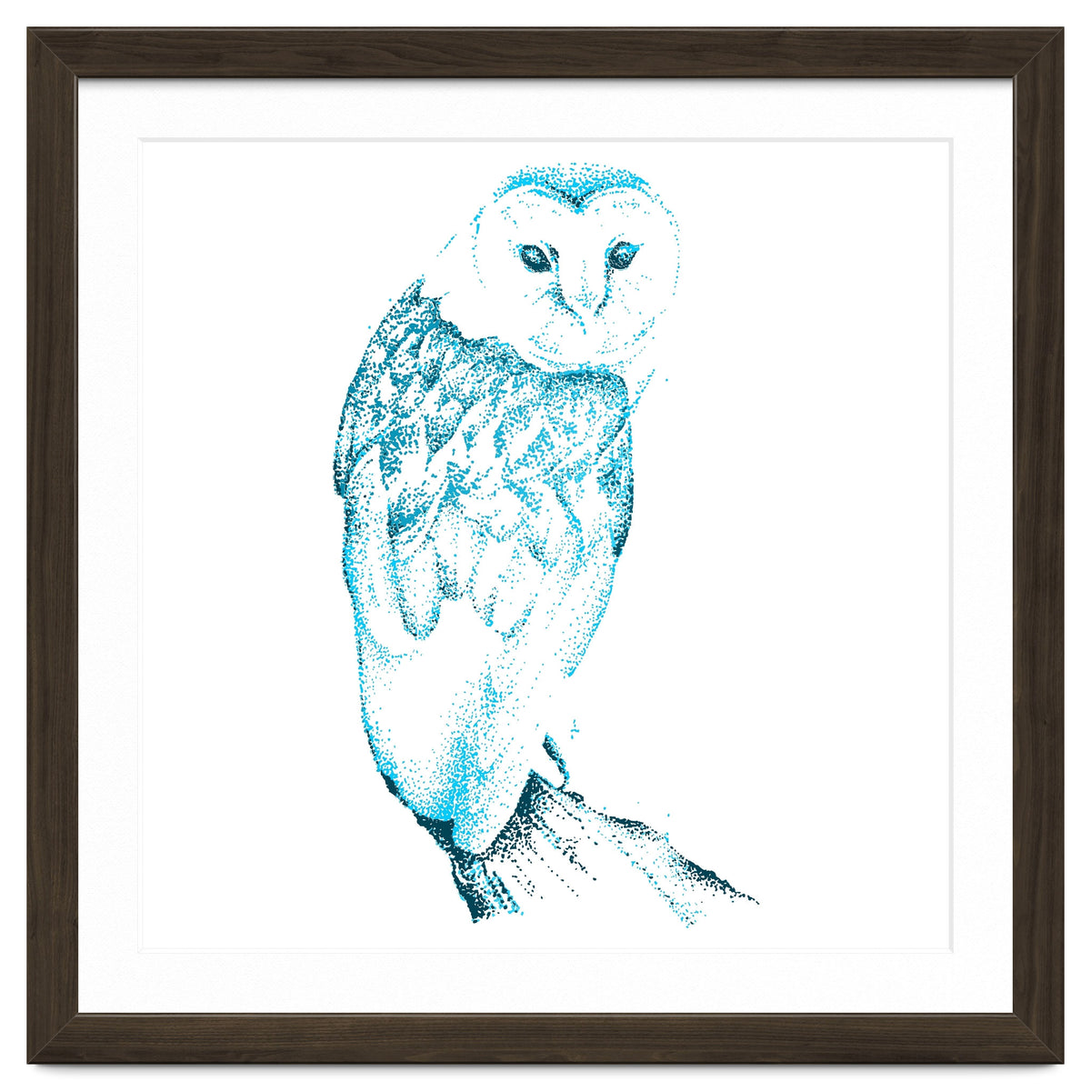 Barn Owl in Teal