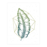 Geometry And Nature V (Print Only) thumbnail