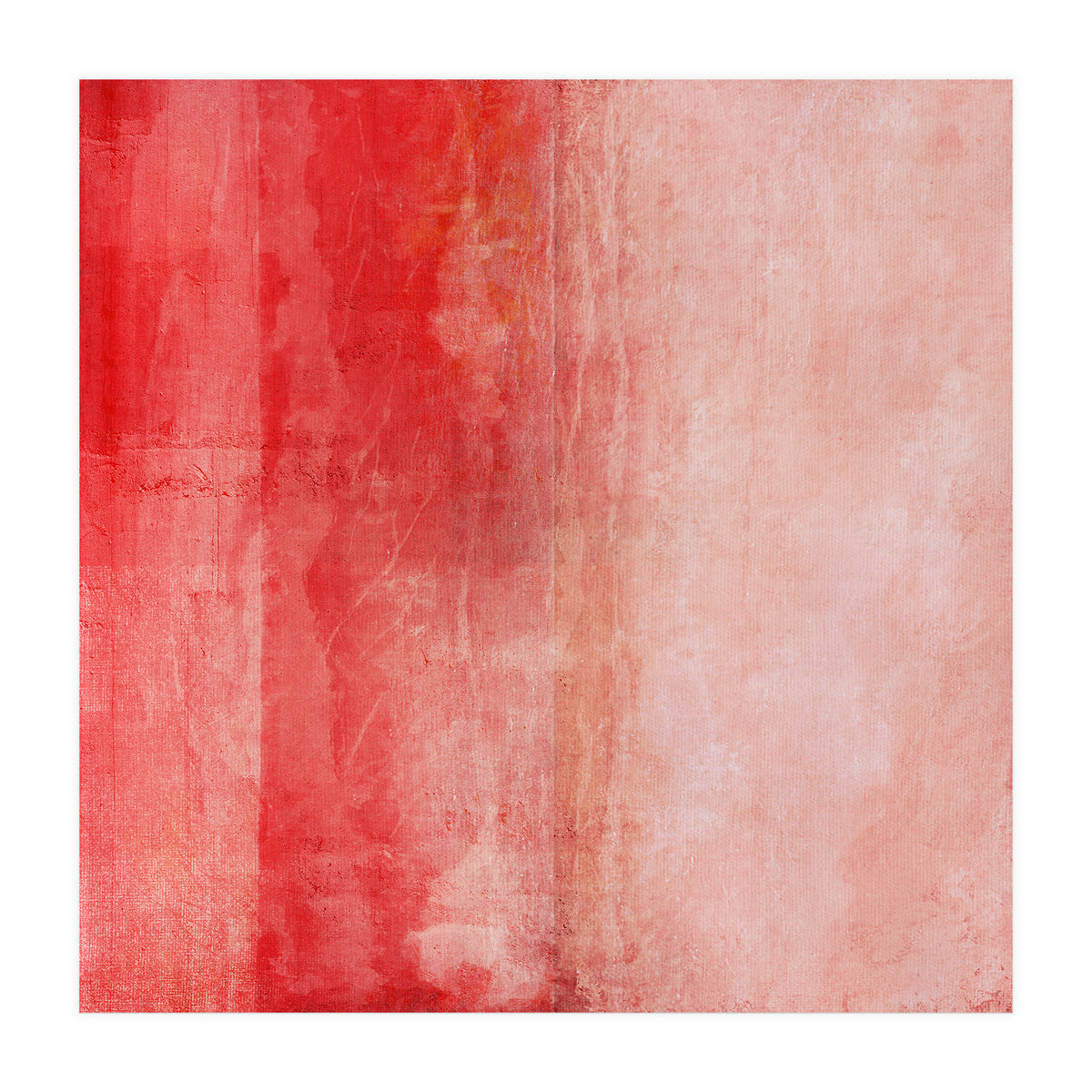 Pink Liquor (Print Only)