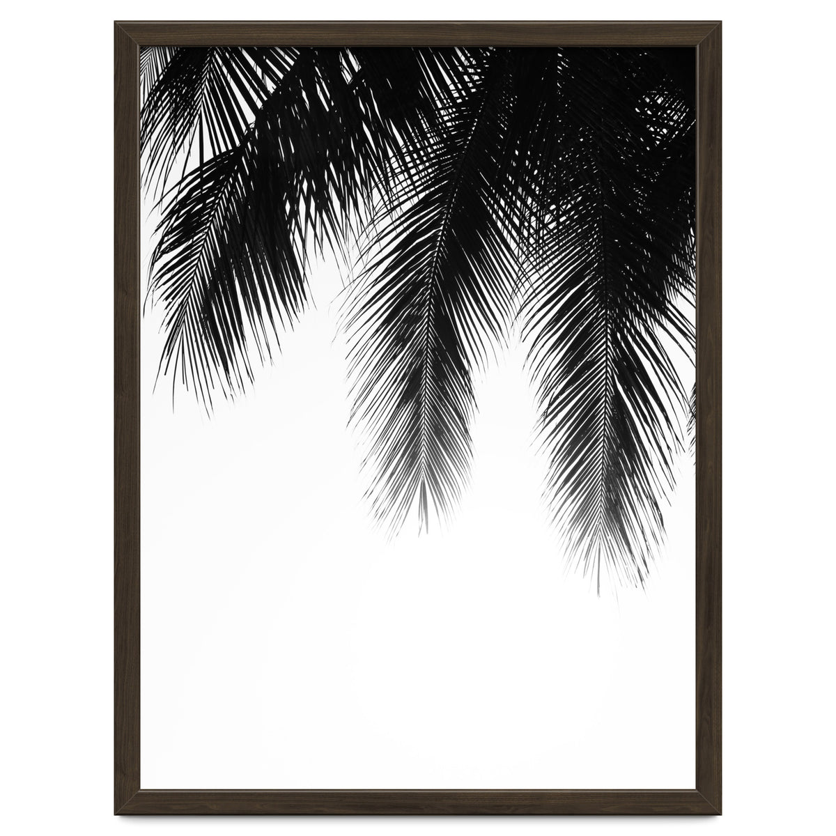 Palm leaves