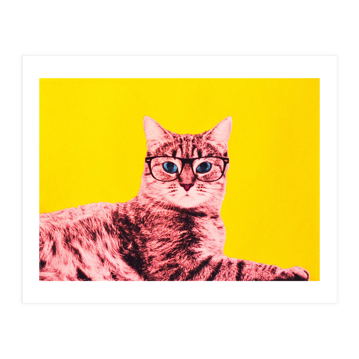 Life In Technicolor (Print Only)