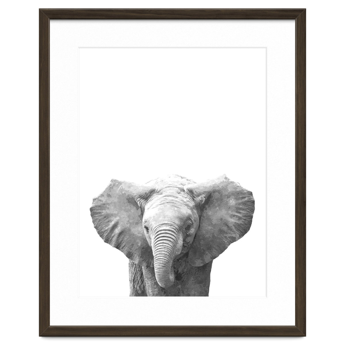 Black and White Baby Elephant