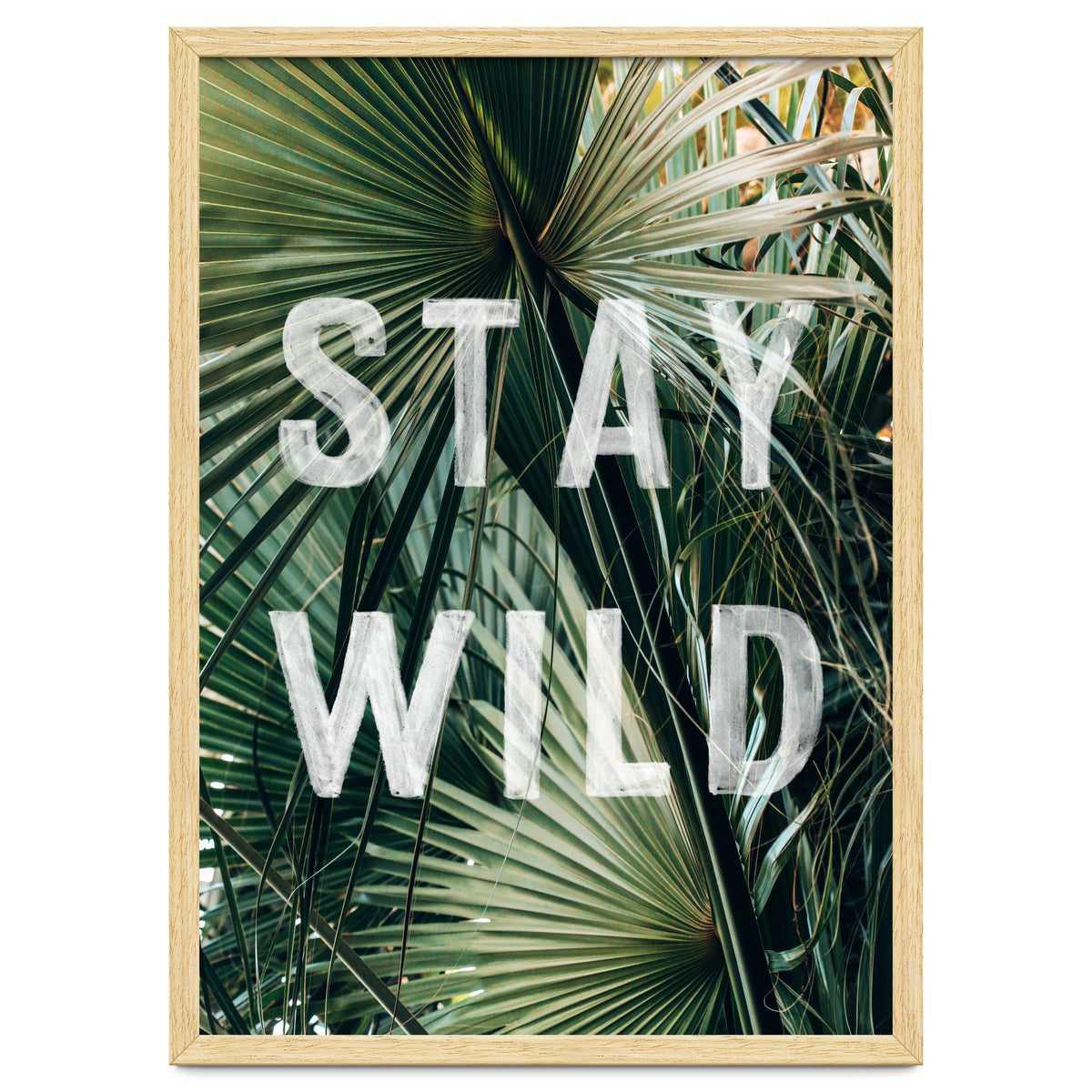 Stay Wild