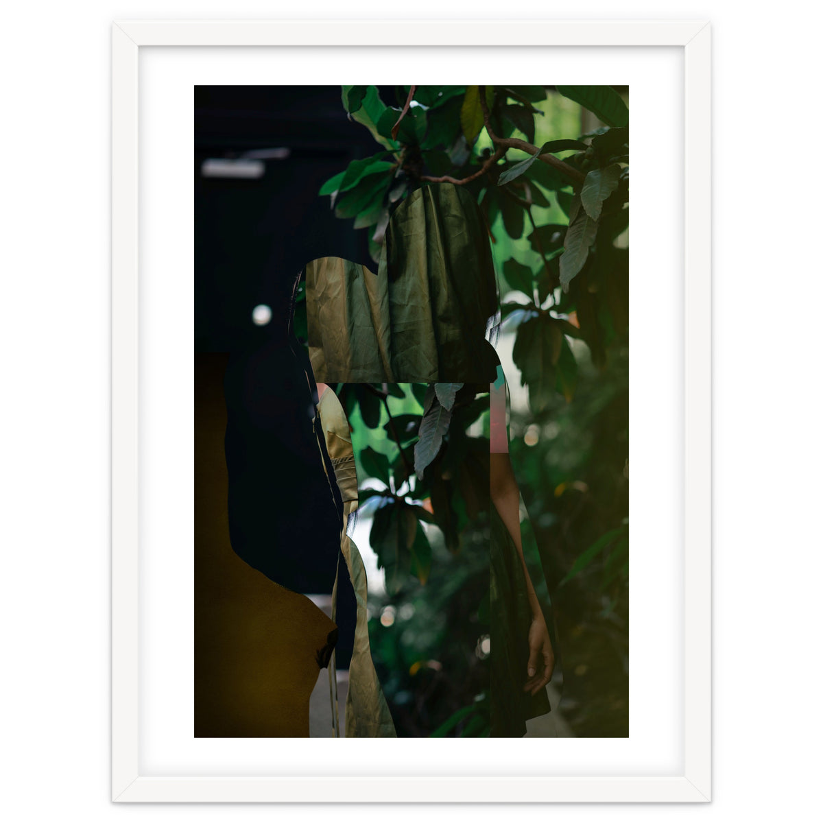 Disappeared Dreams 5