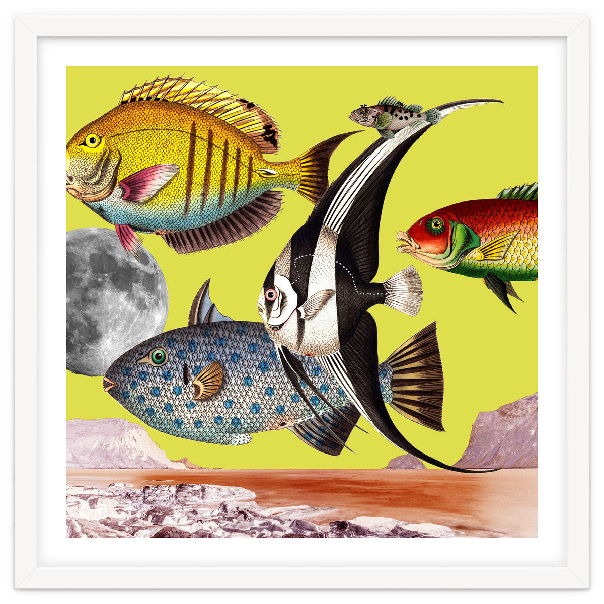 Plenty Of Fish In The Sea Yellow