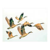 Fly Away Ii (Print Only) thumbnail