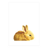 Bunny Portrait (Print Only) thumbnail