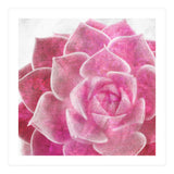 Rough Beauty 4 (Print Only) thumbnail