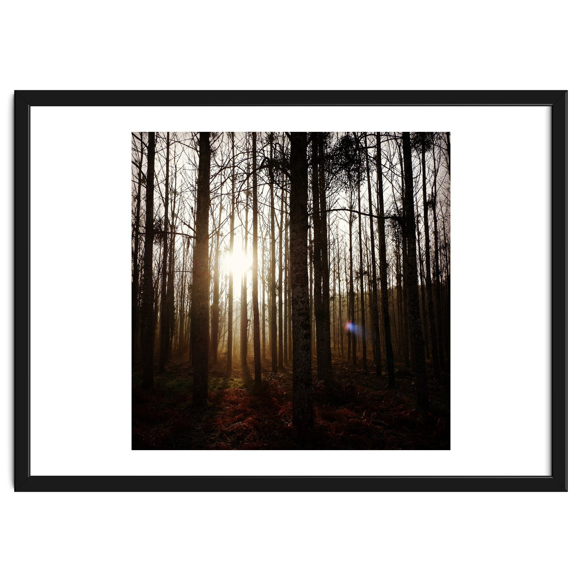 D3 A0 Cf3 E 6509 400 C 926 D 905230 D93 F61