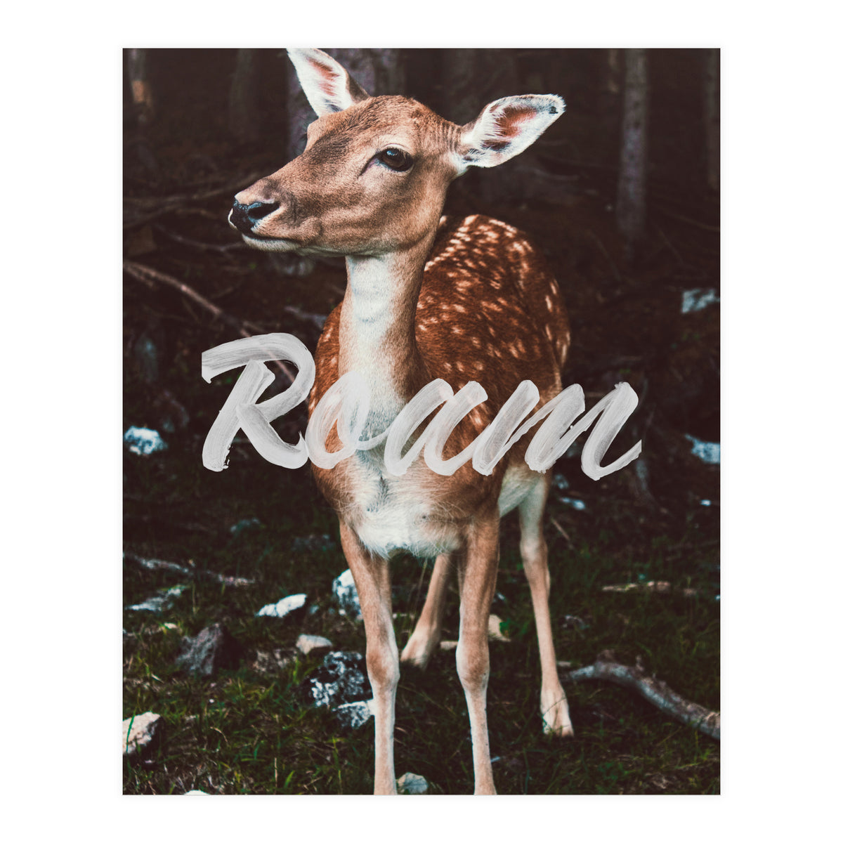 Roam (Print Only)