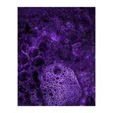 Deep purple (Print Only) thumbnail