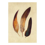 Three Feathers (Print Only) thumbnail