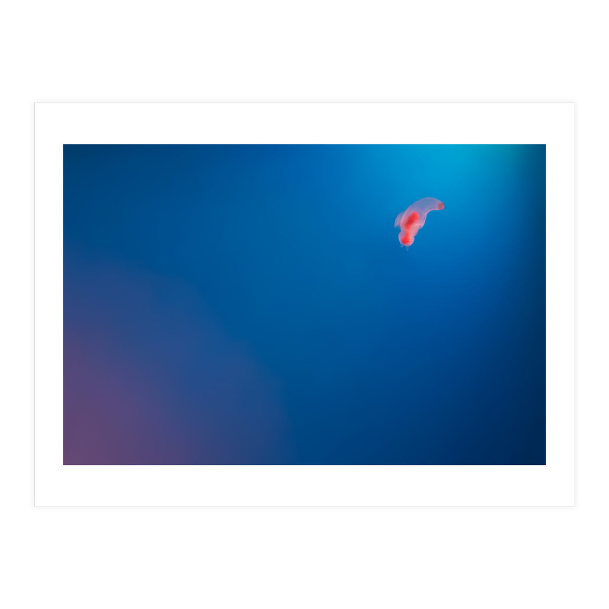 Absolute Zero (Print Only)