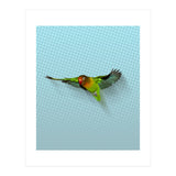 Flying lovebird (Print Only) thumbnail