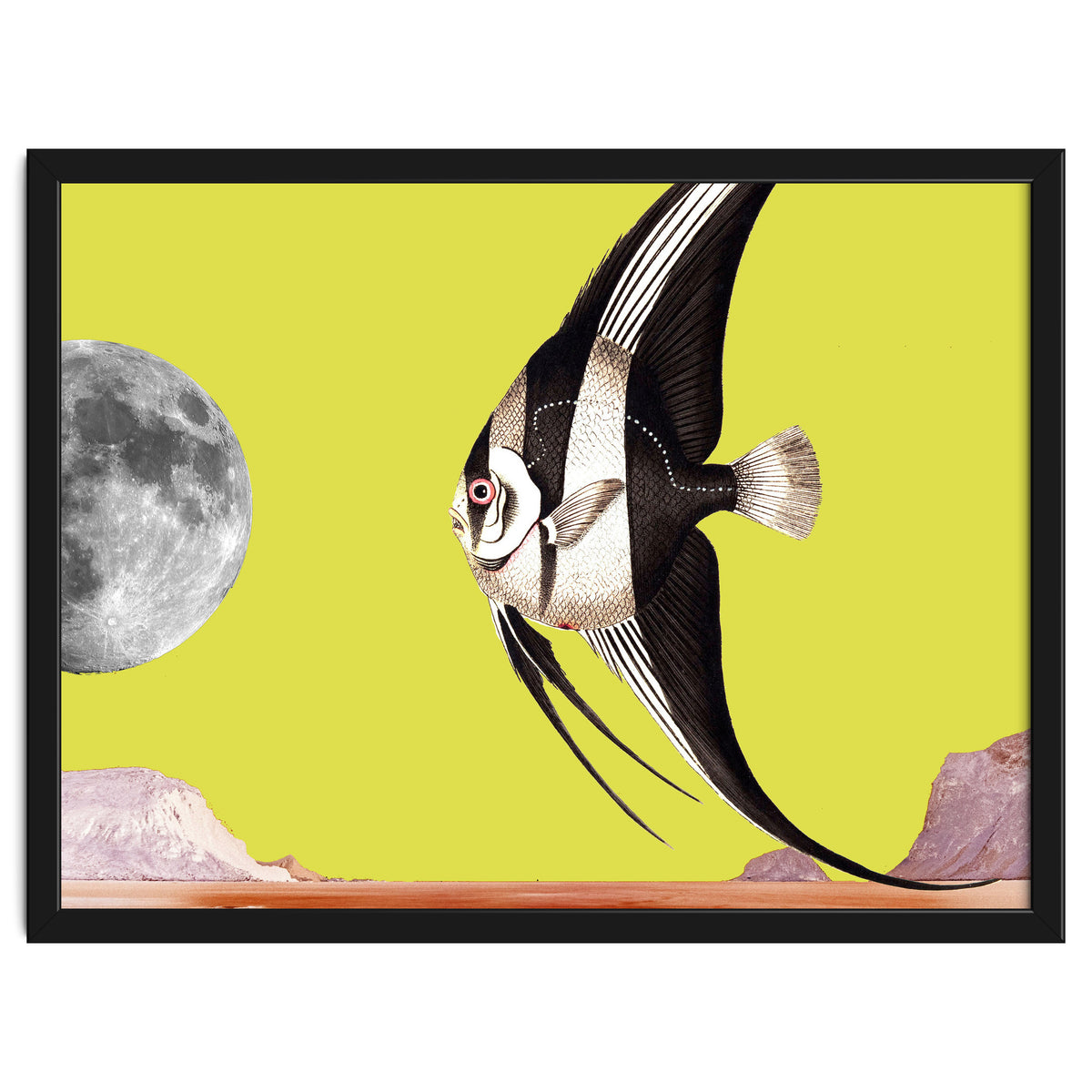 Plenty of fish in the sea yellow