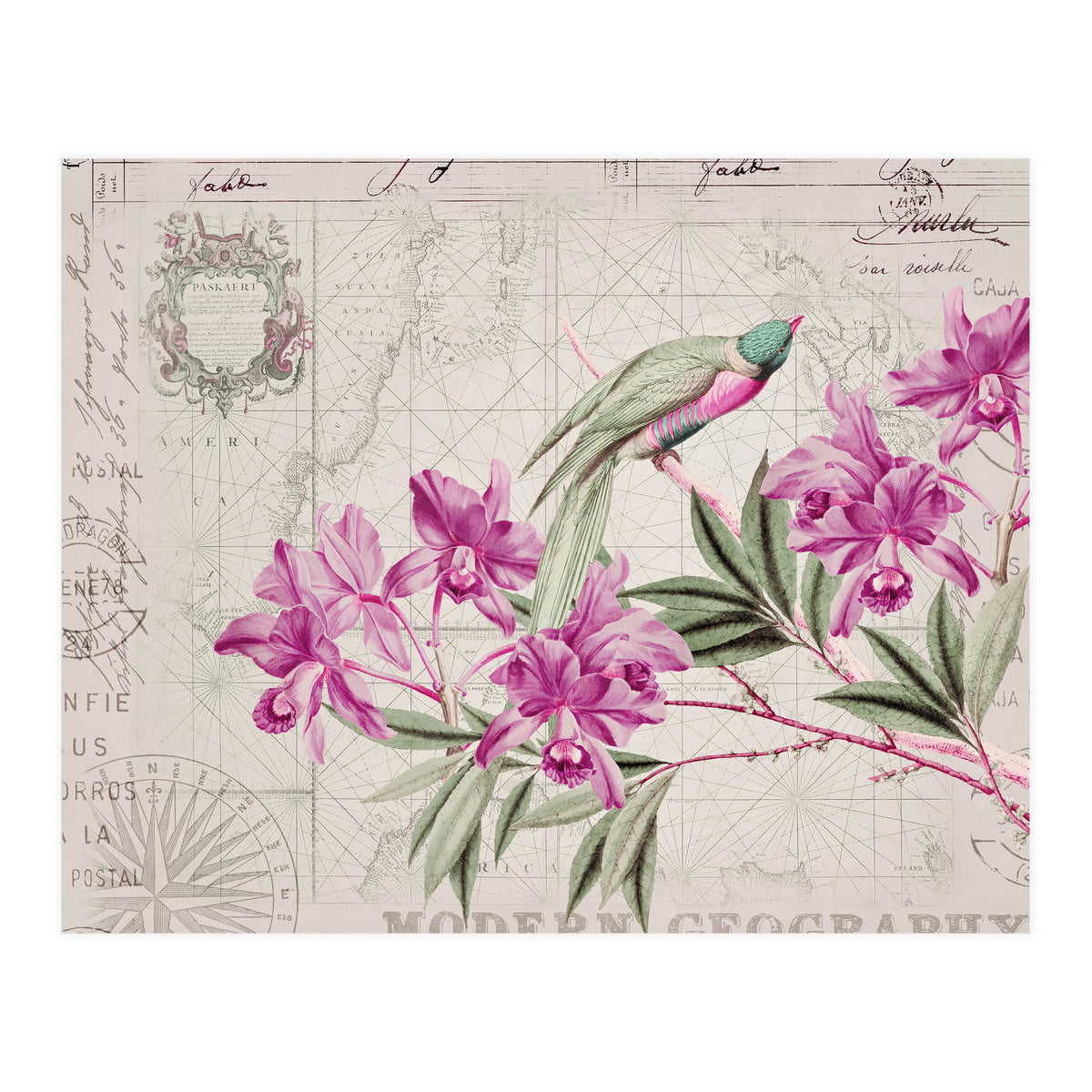 The Birds Voyage Of Discovery (Print Only)