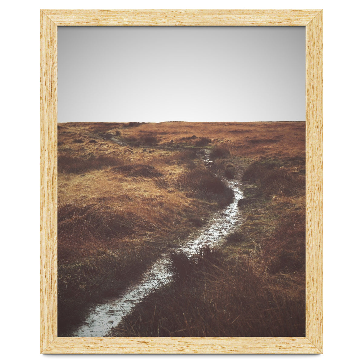 Bleak winter landscape of Saddleworth Moor