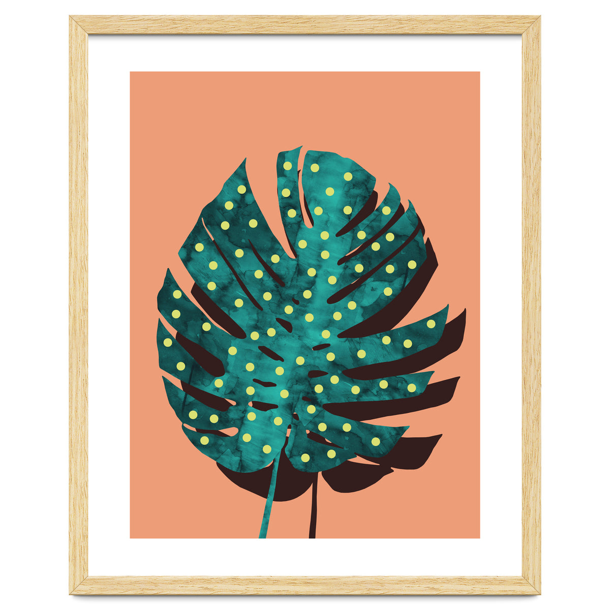 Monstera Deliciosa IV