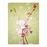 Springflowers (Print Only) thumbnail