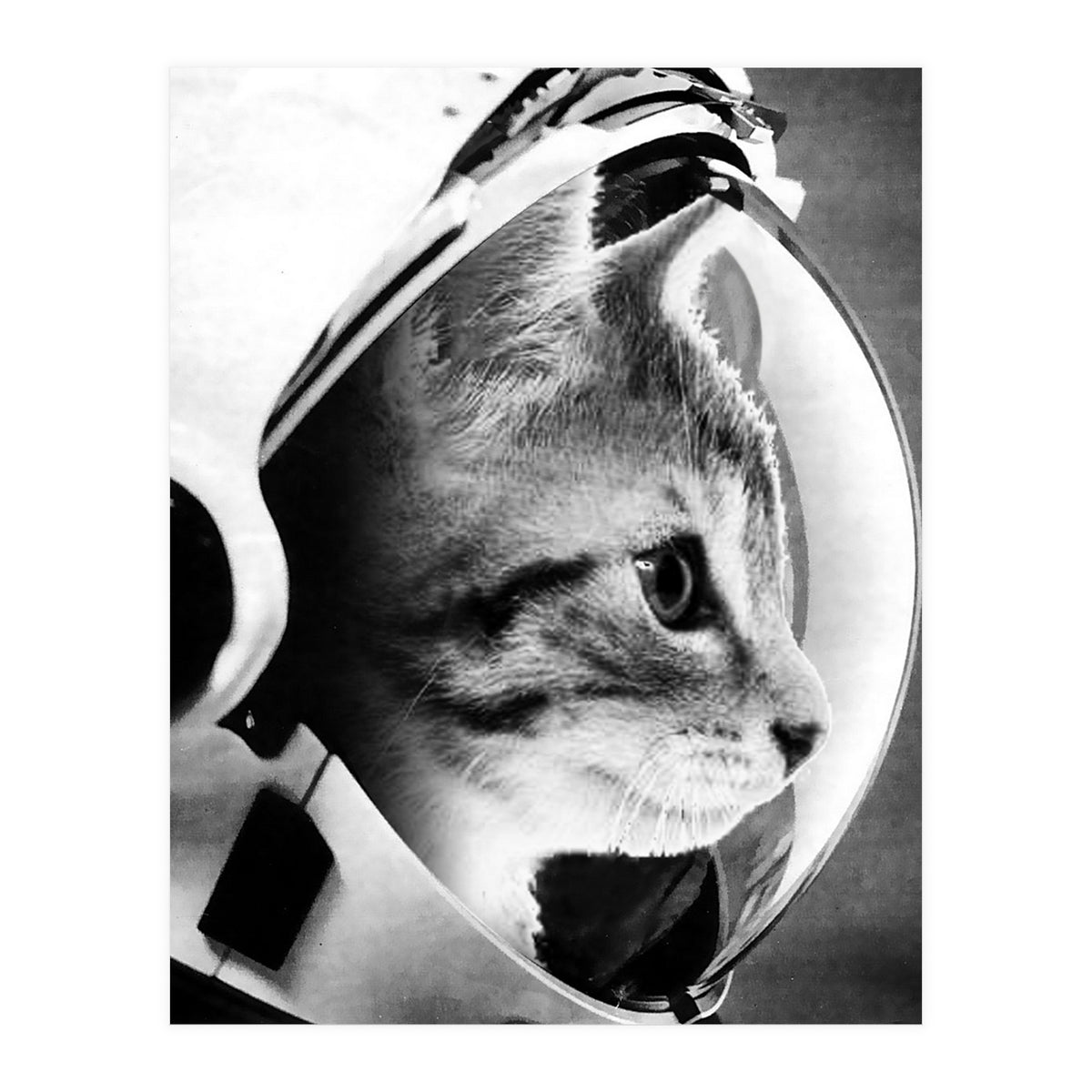 Astrocat (Print Only)