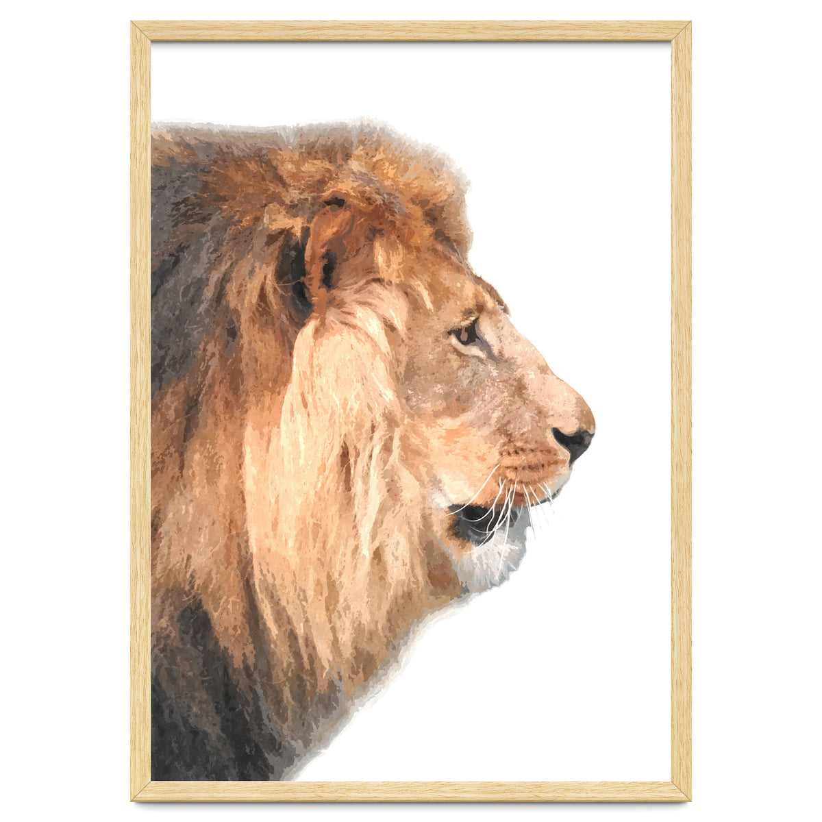 Lion Profile