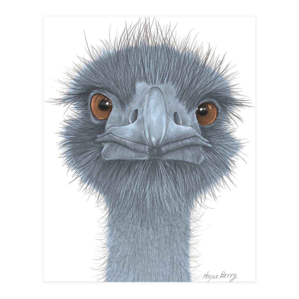 The Blue Emu (Print Only)