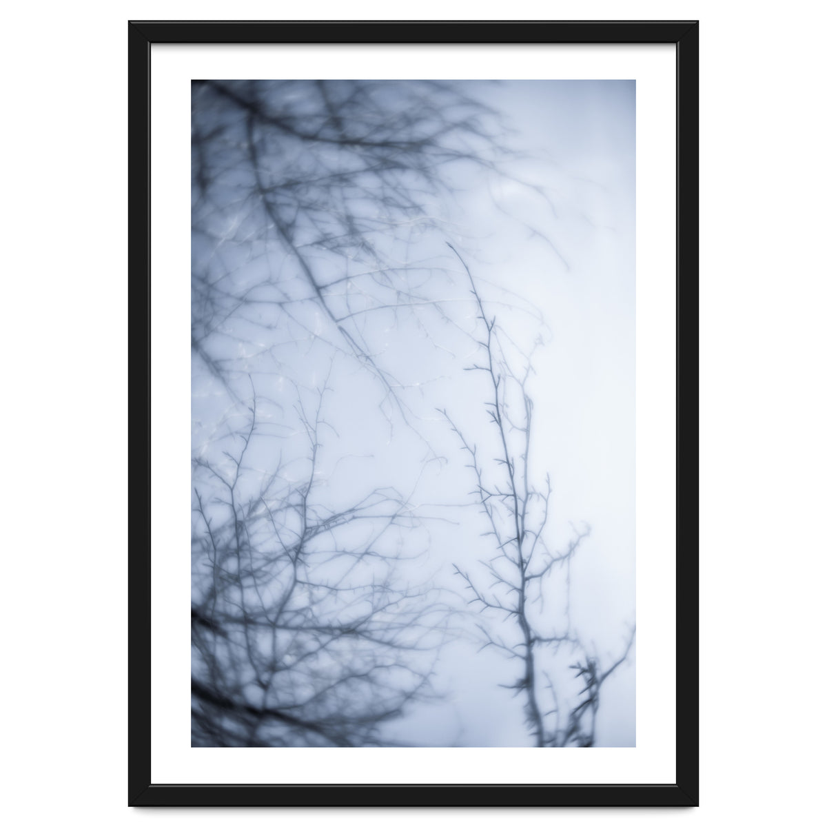 Forgotten Memories of Summer #21