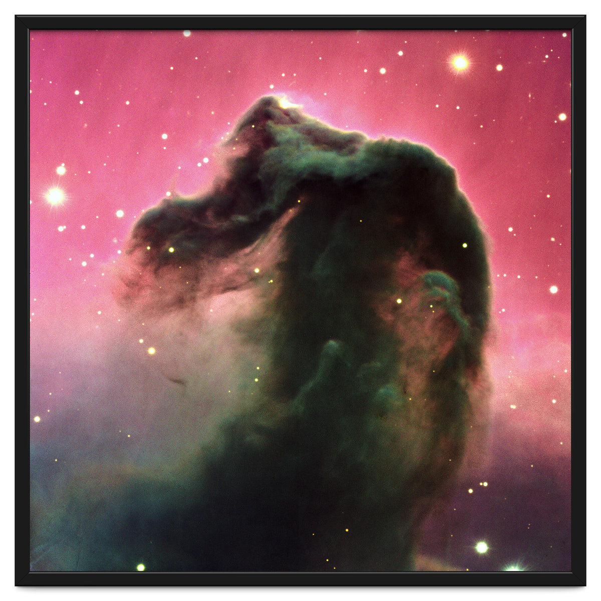 The Horsehead Nebula